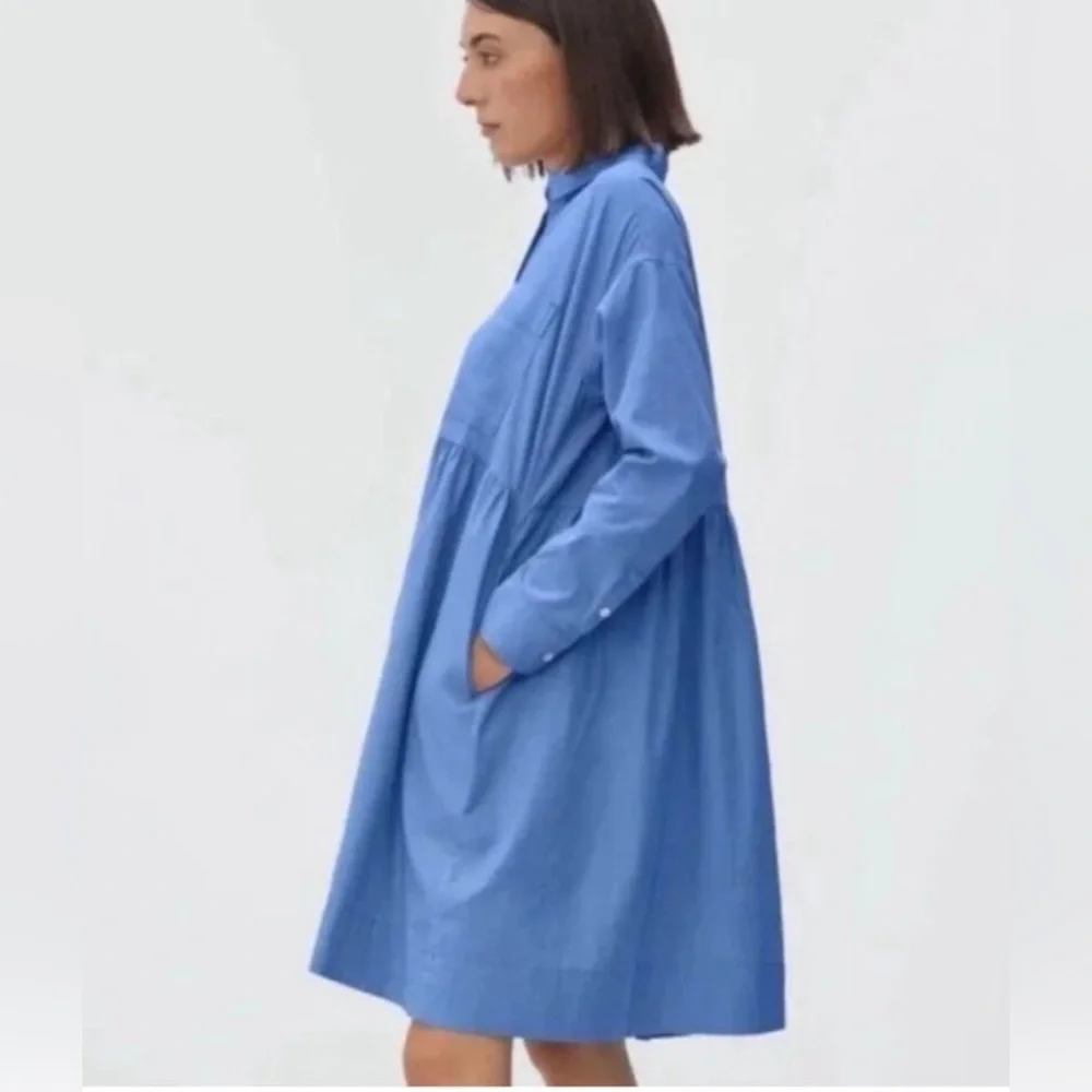 Everlane The Field Dress Oversized Shirt Dress Blue - Picture 3 of 10